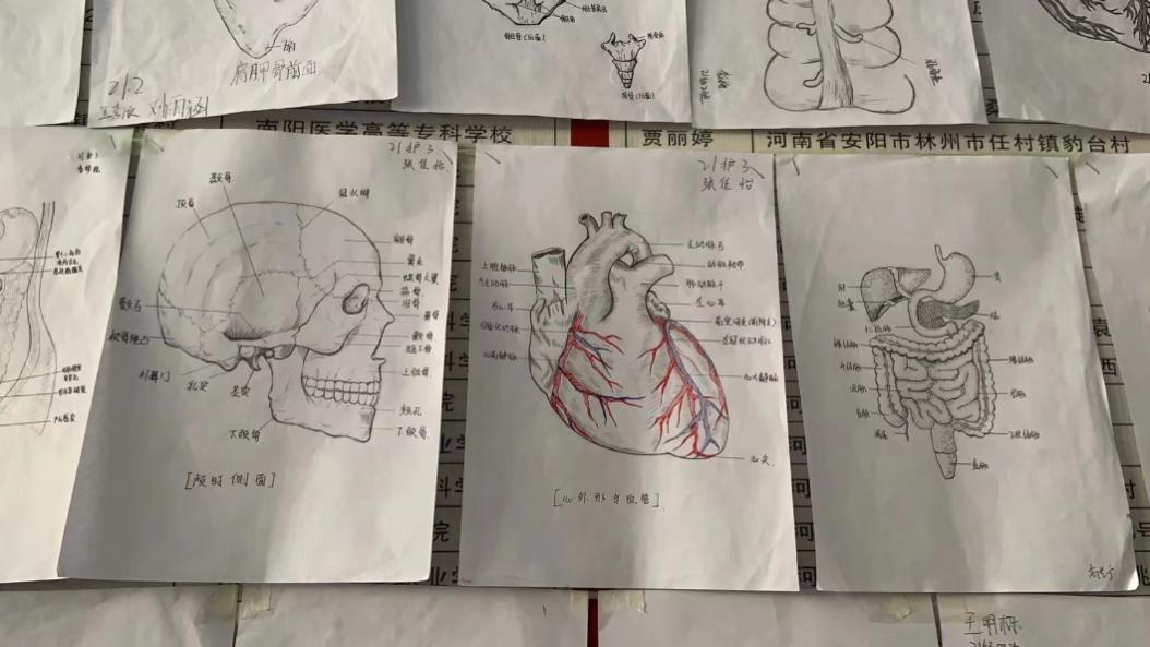 焦作護理學(xué)校質(zhì)量年度報告（2023年）(1)(1)(1)-8